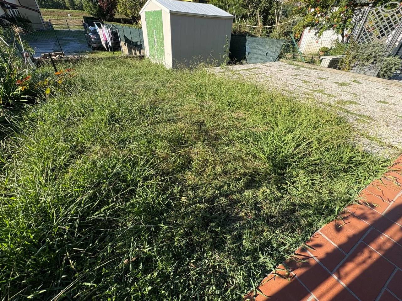 immagine annuncio 13 di 14