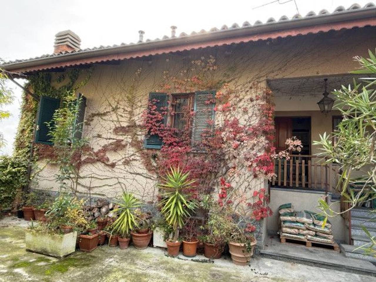 immagine annuncio 13 di 15