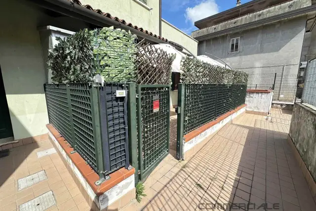 insertion image