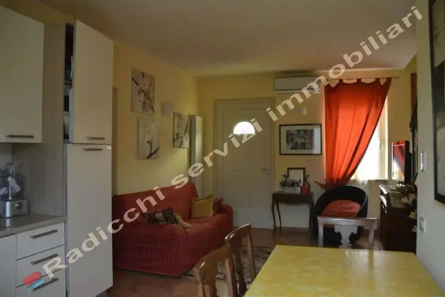 insertion image