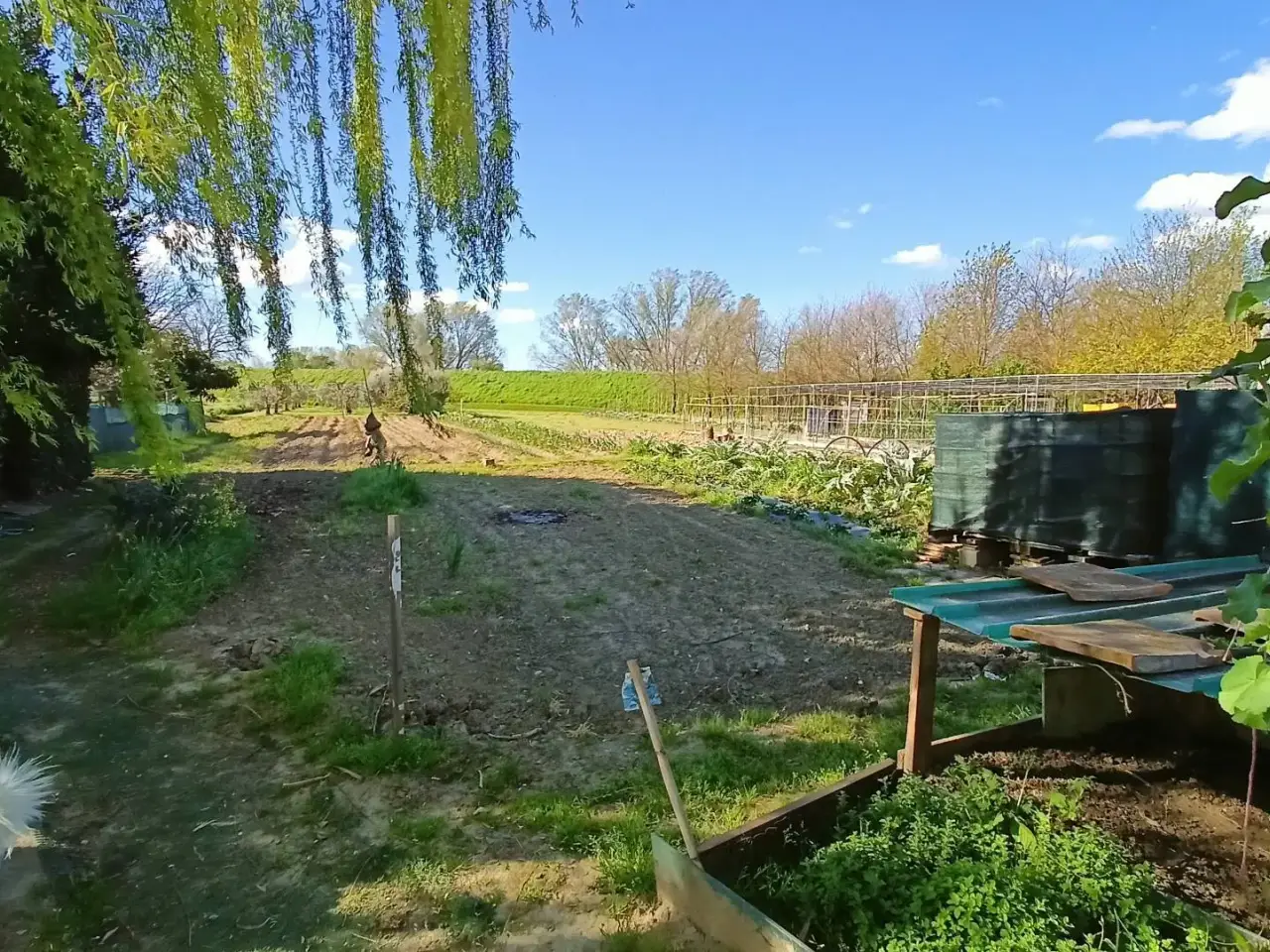 Agriturismo in Via del Pesco, Santa Maria A Monte, {3} - Foto 2