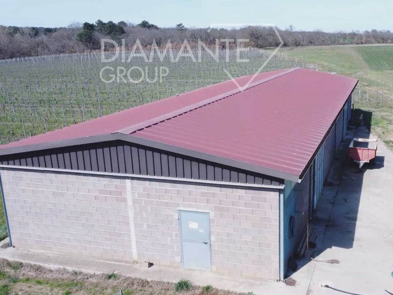 immagine annuncio 2 di 14