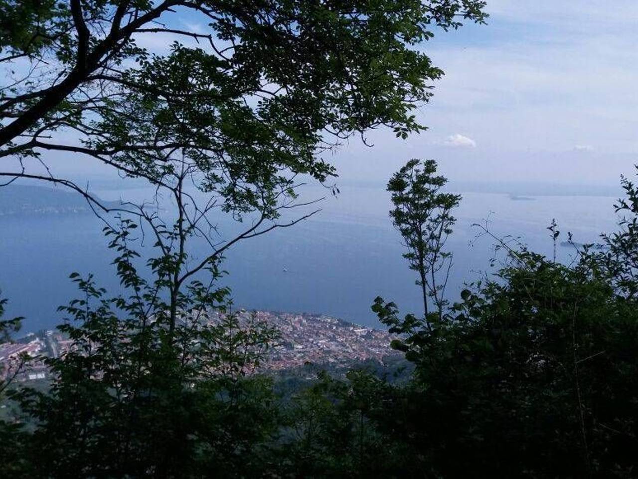 immagine annuncio 2 di 6