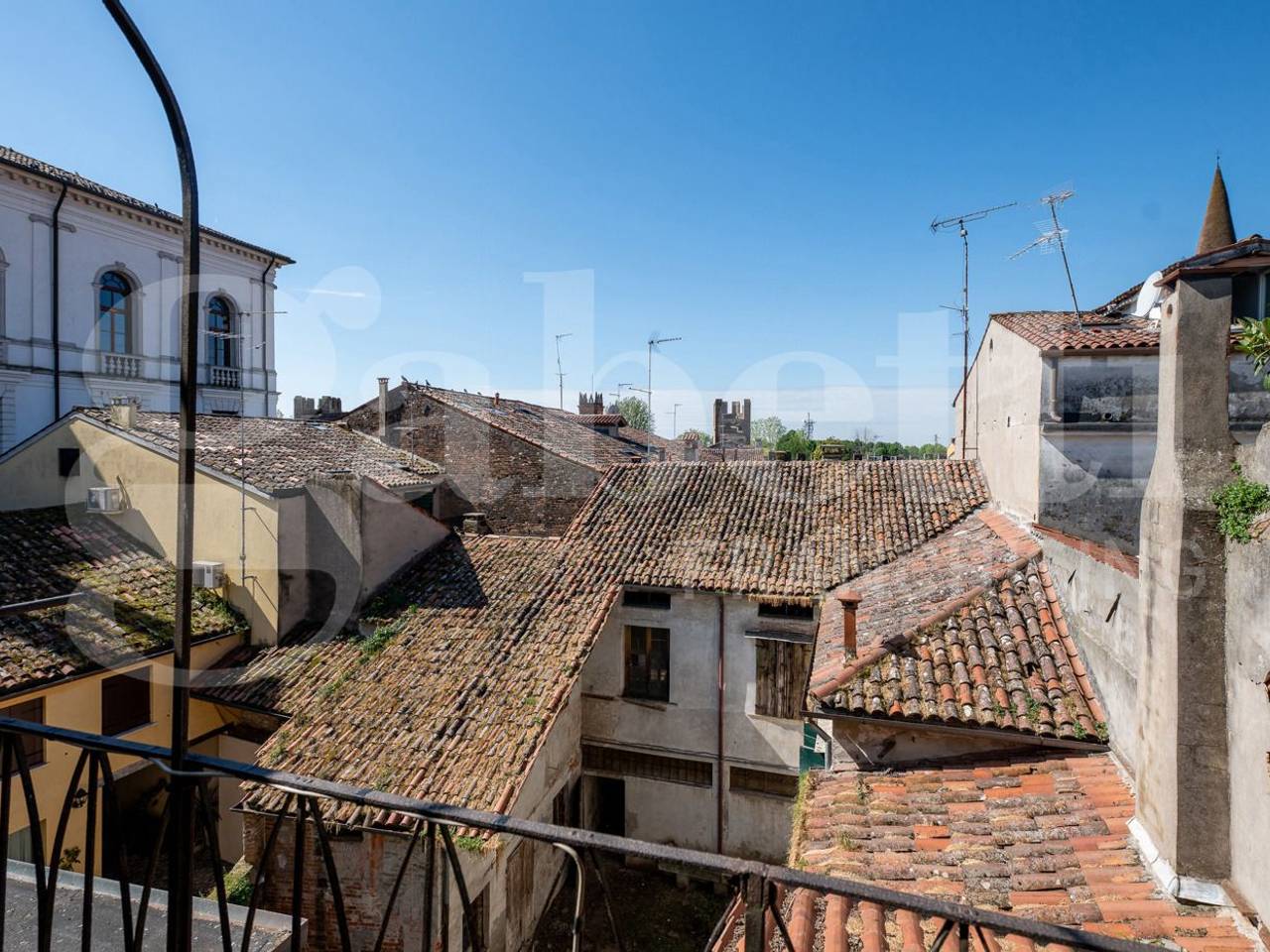 immagine annuncio 4 di 14