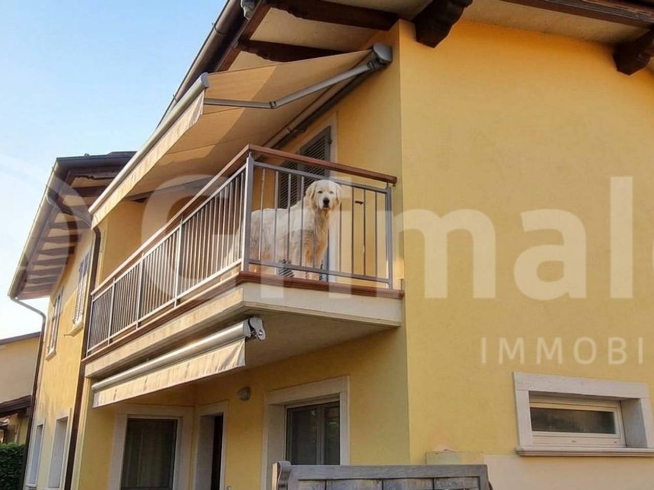 immagine annuncio 14 di 15