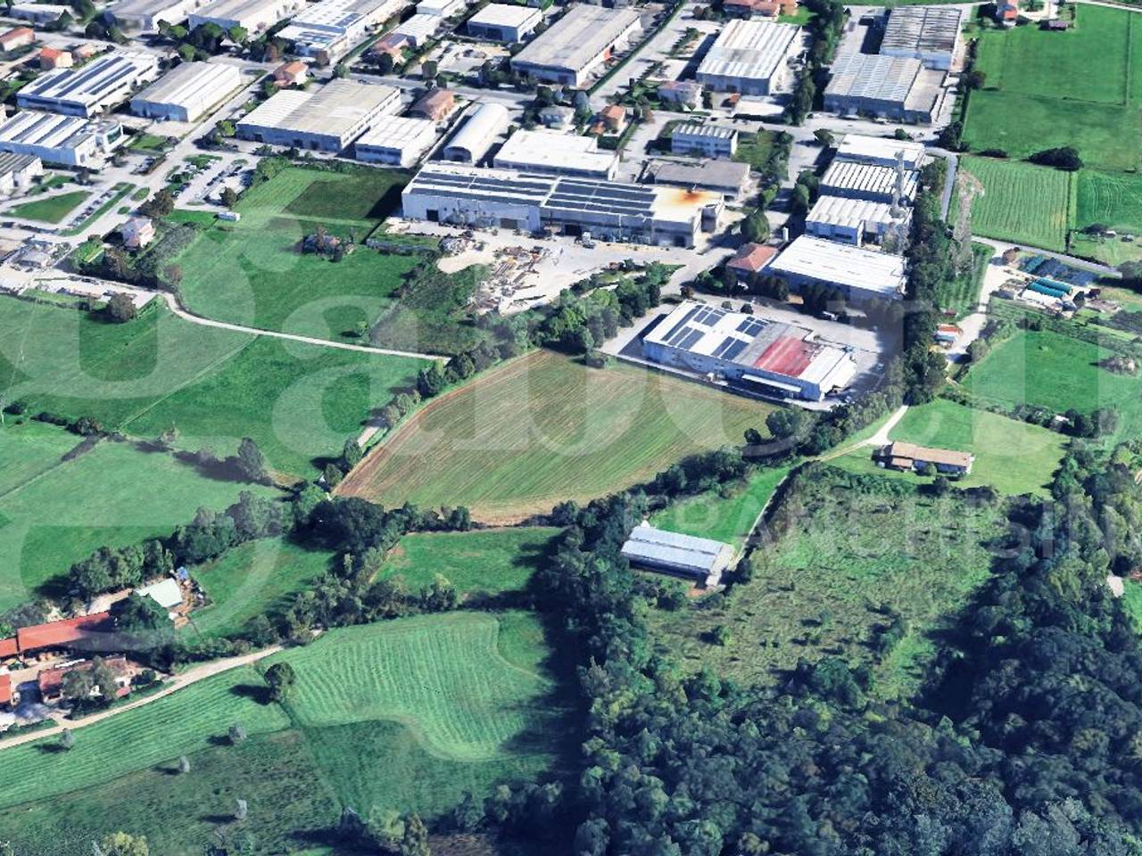 immagine annuncio 5 di 6