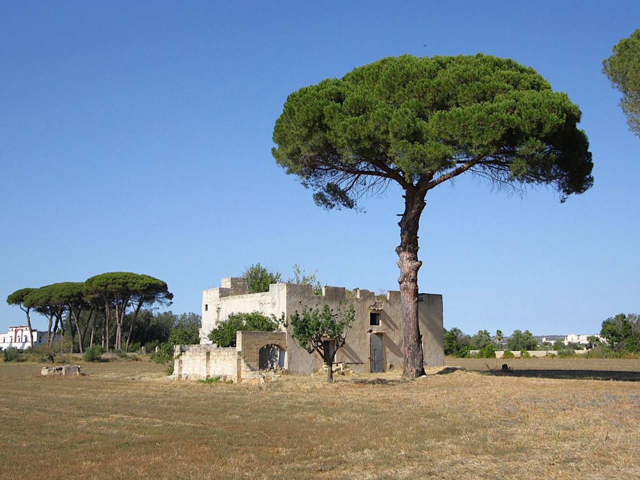 immagine annuncio 6 di 15