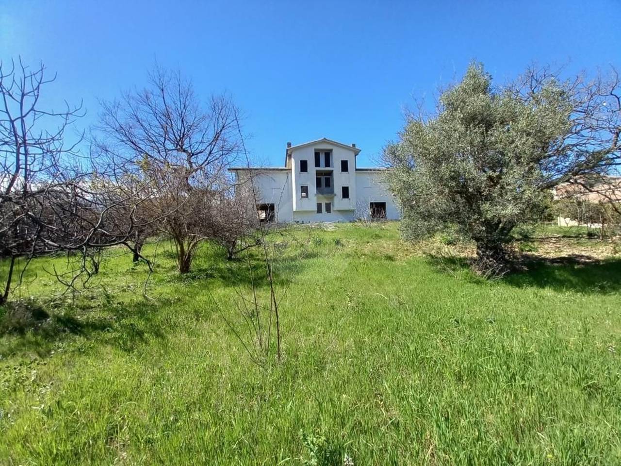 immagine annuncio 11 di 15