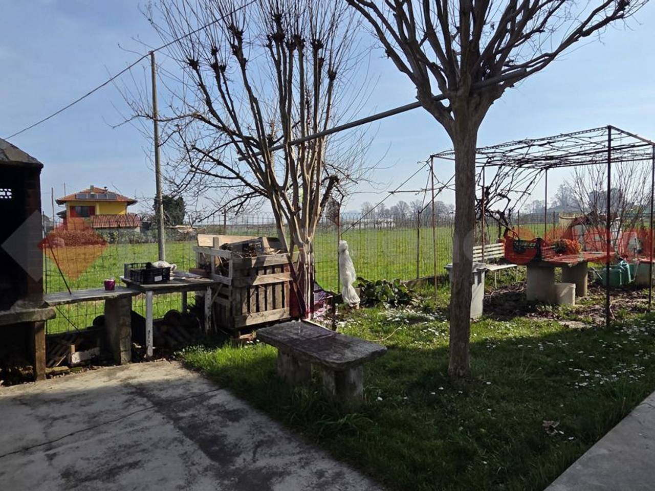 immagine annuncio 2 di 12