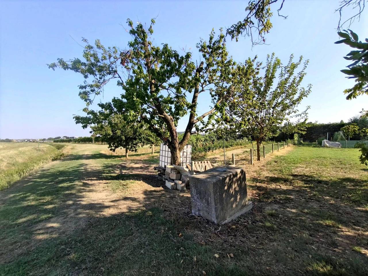 immagine annuncio 5 di 10