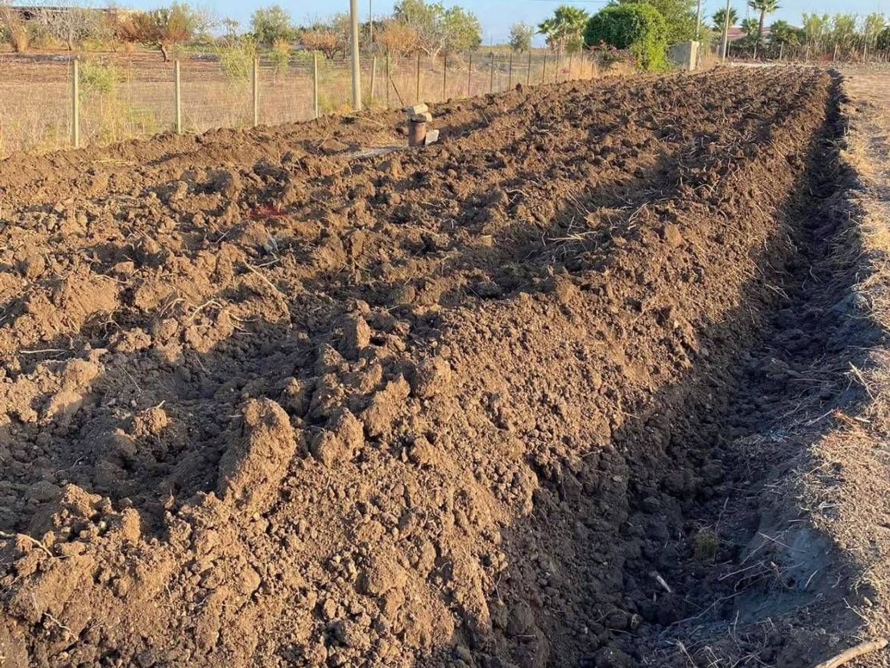 immagine annuncio 5 di 8