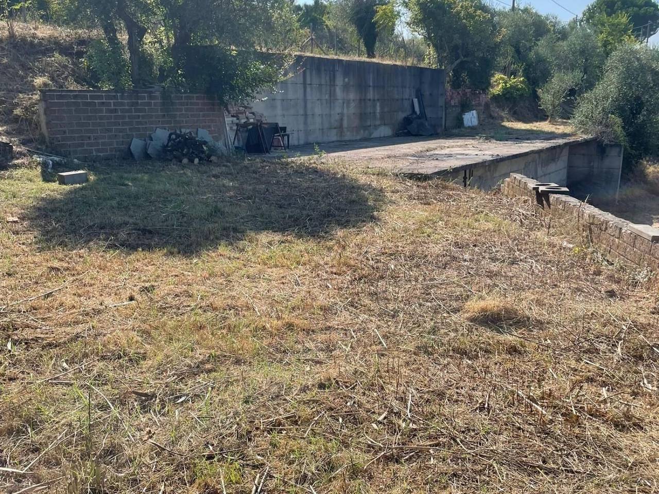 immagine annuncio 4 di 9