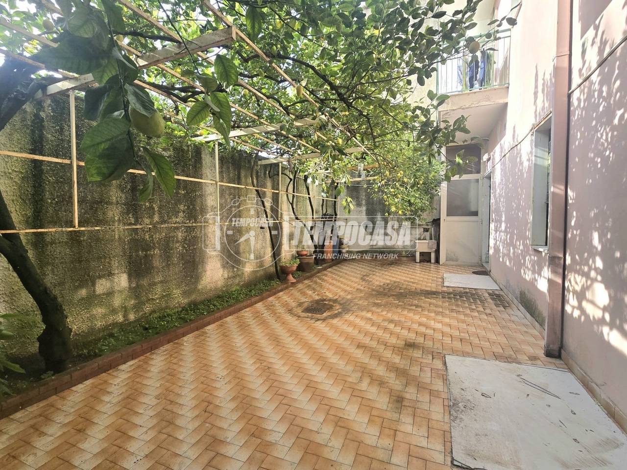 immagine annuncio 5 di 14