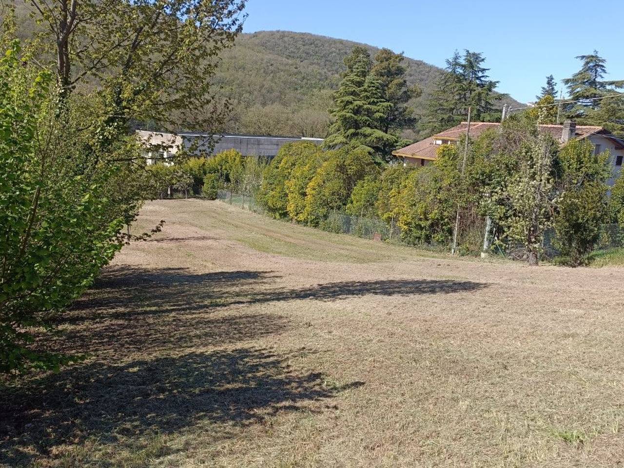 immagine annuncio 4 di 6