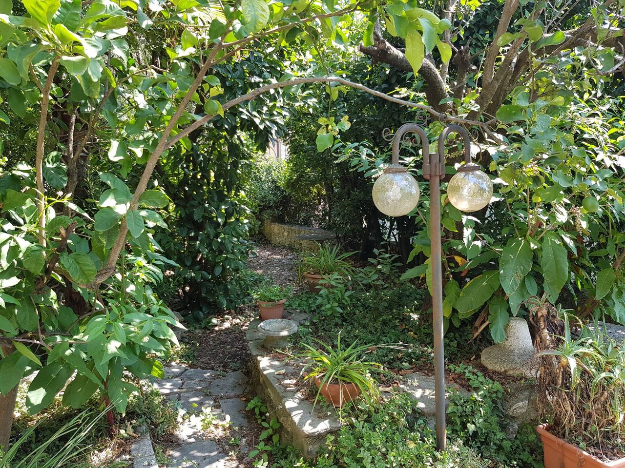 immagine annuncio 5 di 15