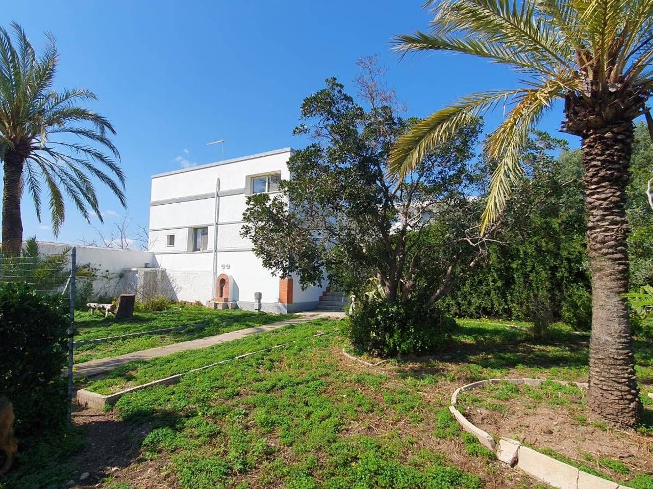 immagine annuncio 4 di 11