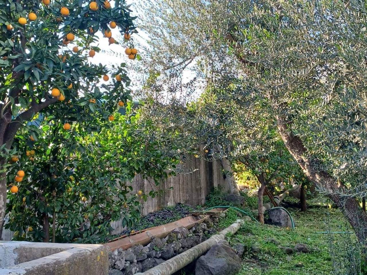 immagine annuncio 3 di 9