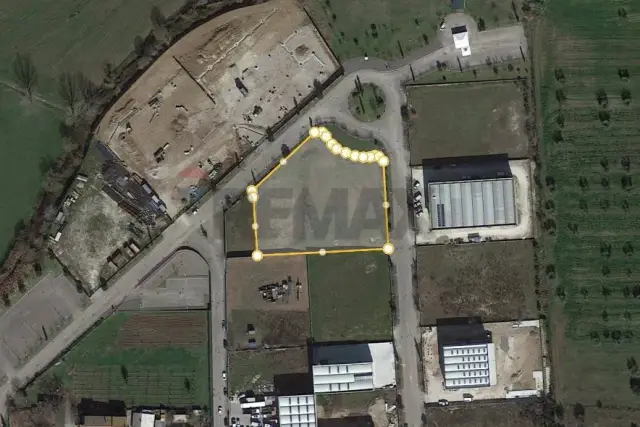 insertion image