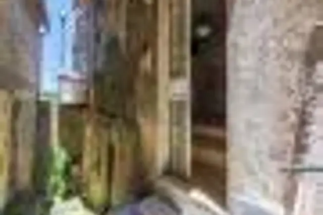 insertion image