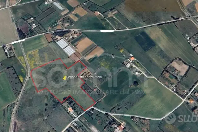 insertion image