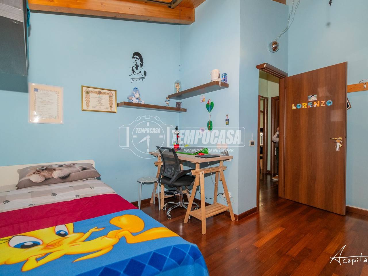 immagine annuncio 12 di 15