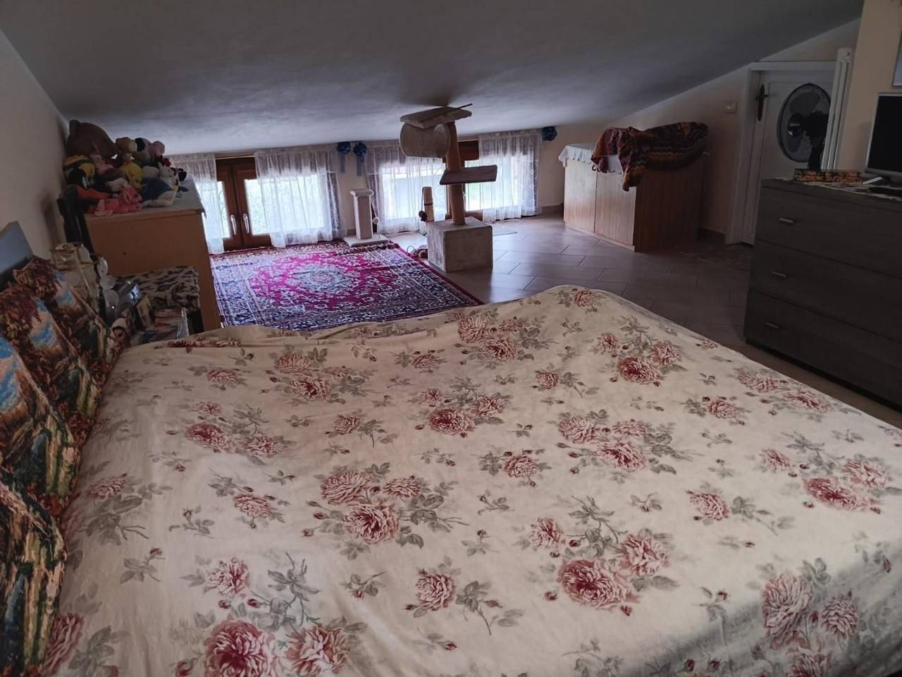 immagine annuncio 10 di 14