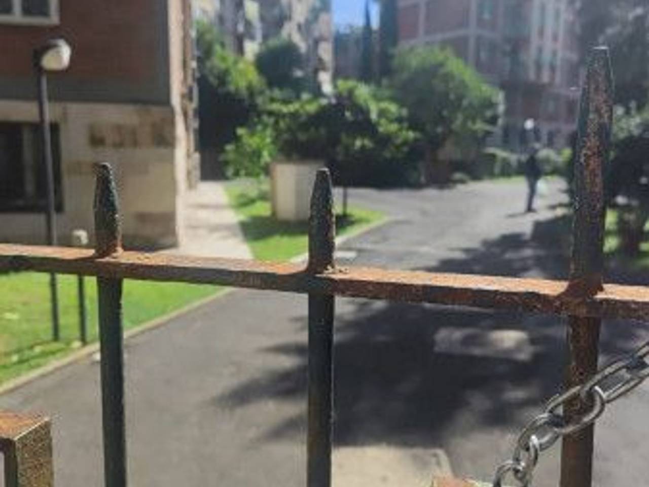 immagine annuncio 5 di 12