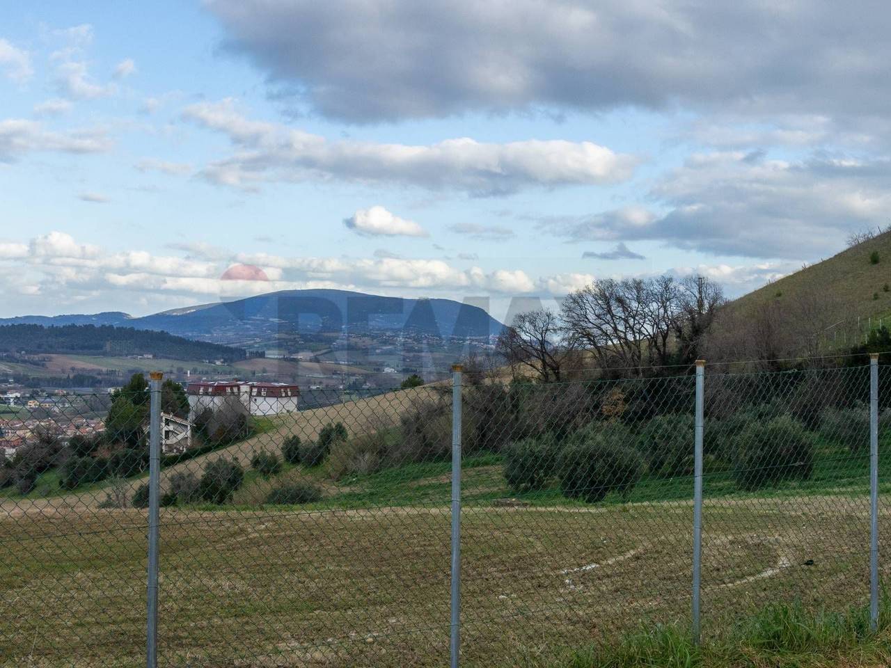 immagine annuncio 7 di 13