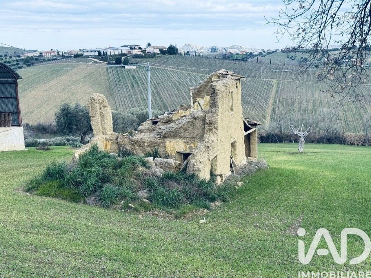 immagine annuncio 9 di 15