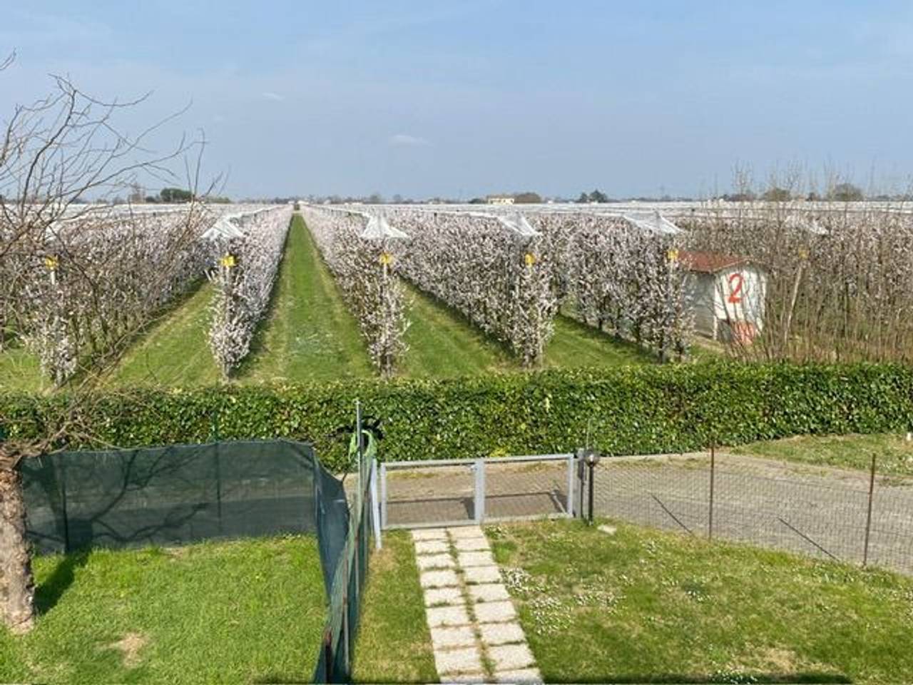 immagine annuncio 8 di 15