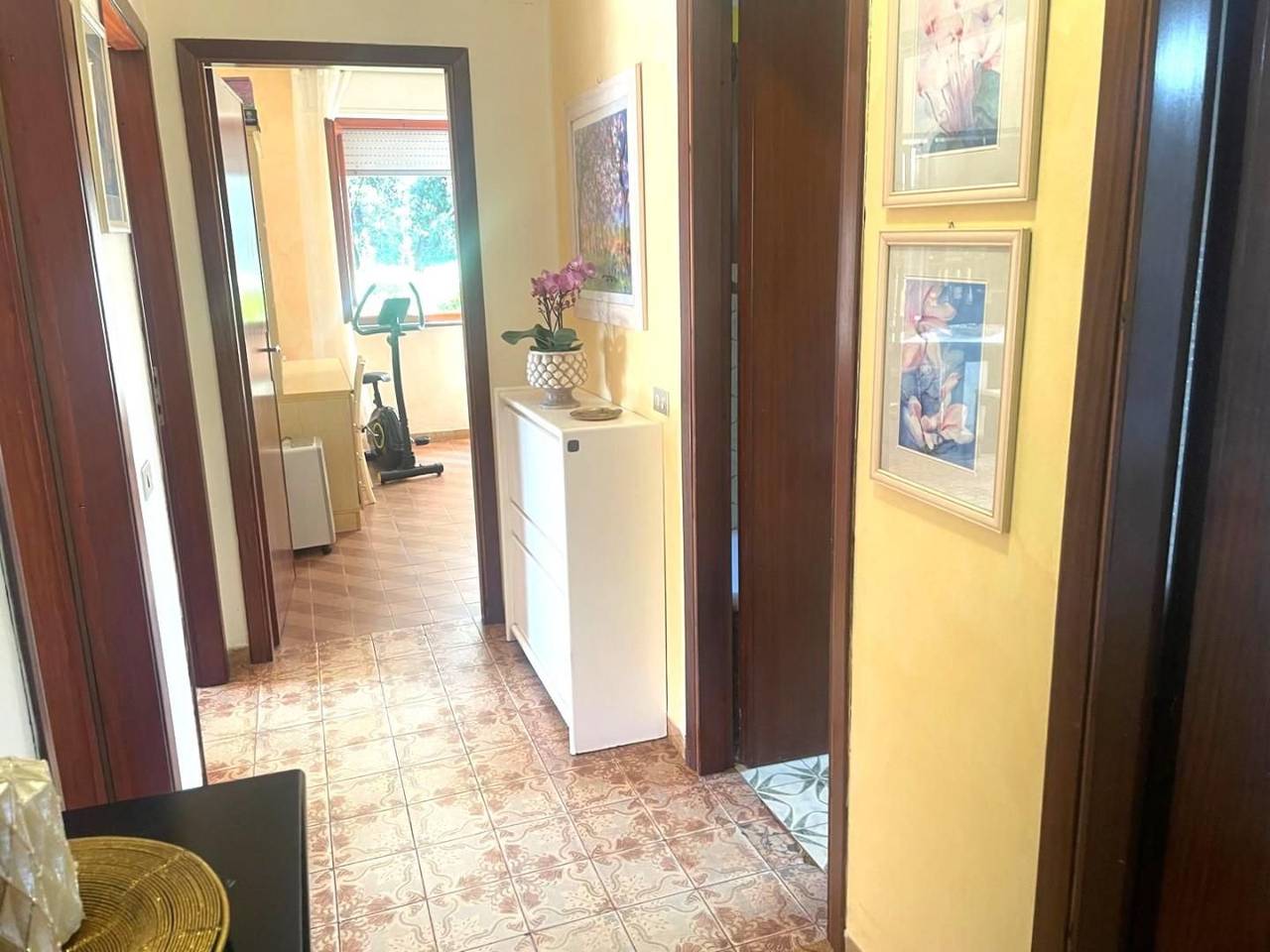 immagine annuncio 7 di 9