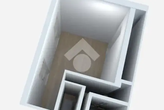 insertion image