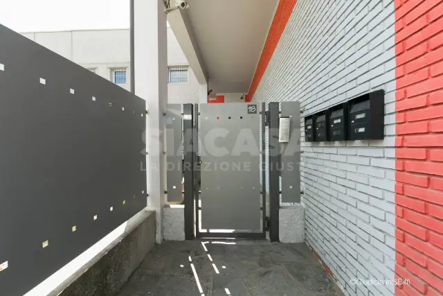 insertion image