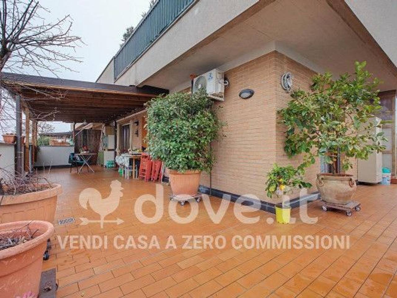 immagine annuncio 6 di 15