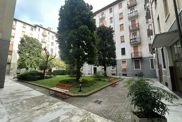 insertion image