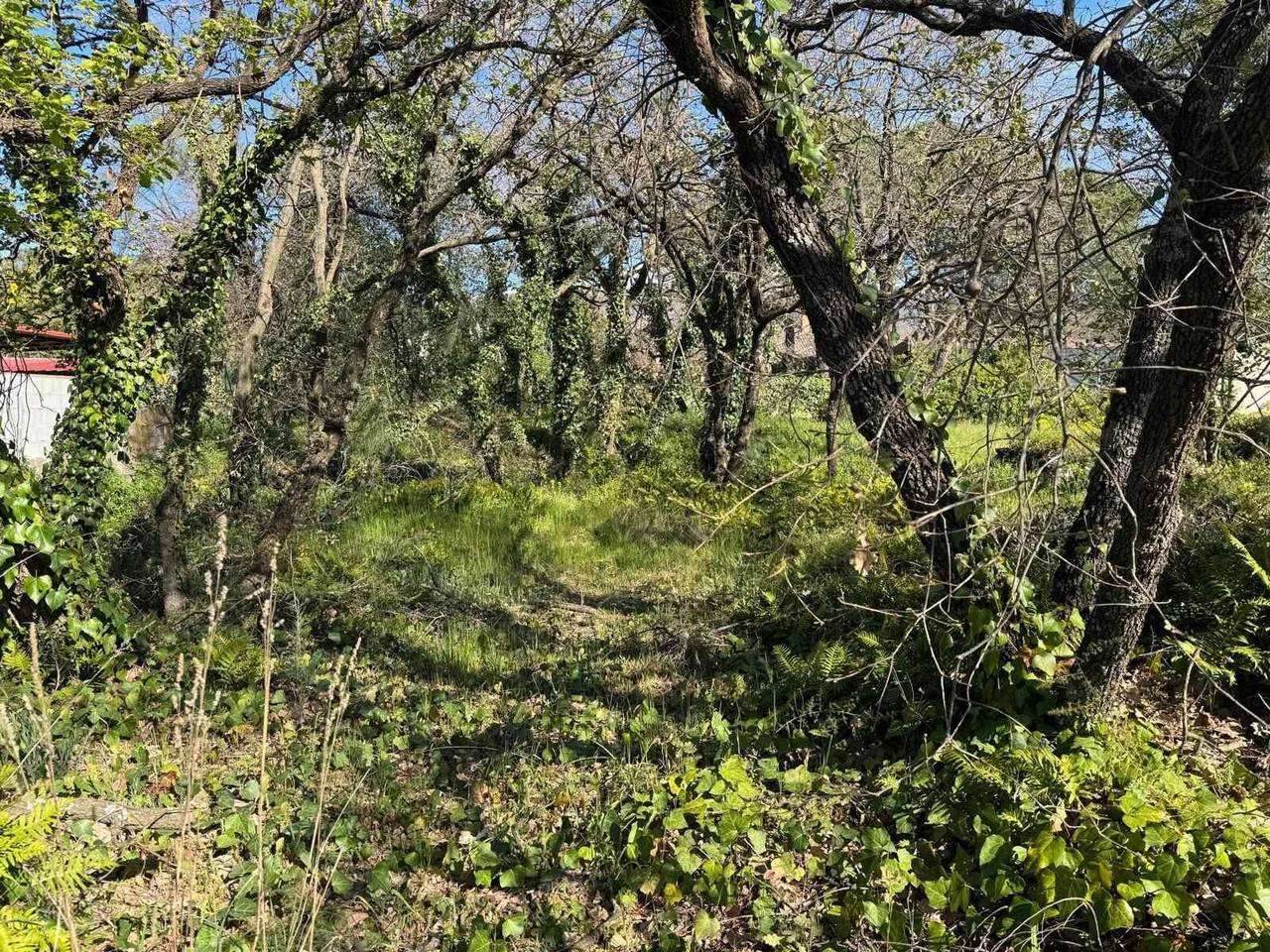 immagine annuncio 8 di 11