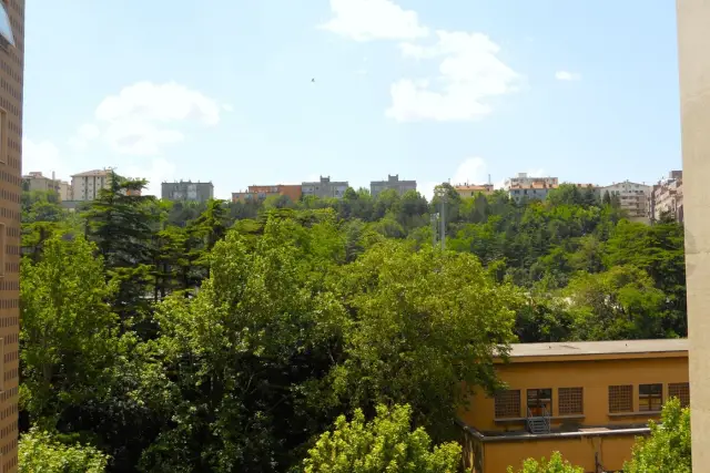 Monolocale in vendita, Trieste - Foto 1