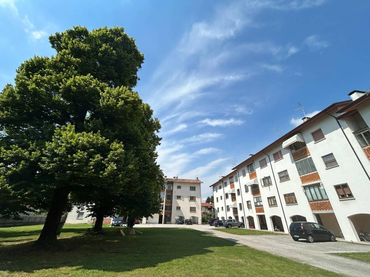 immagine annuncio 2 di 12