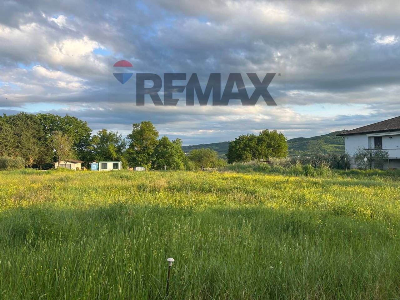 immagine annuncio 3 di 8