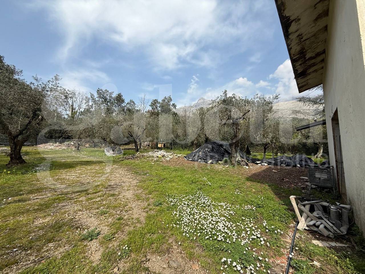 immagine annuncio 2 di 14