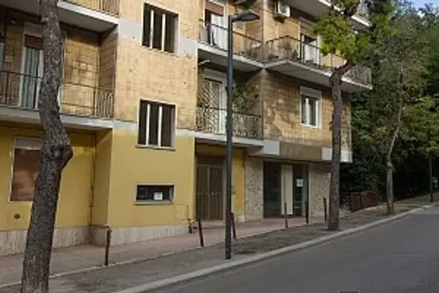 insertion image