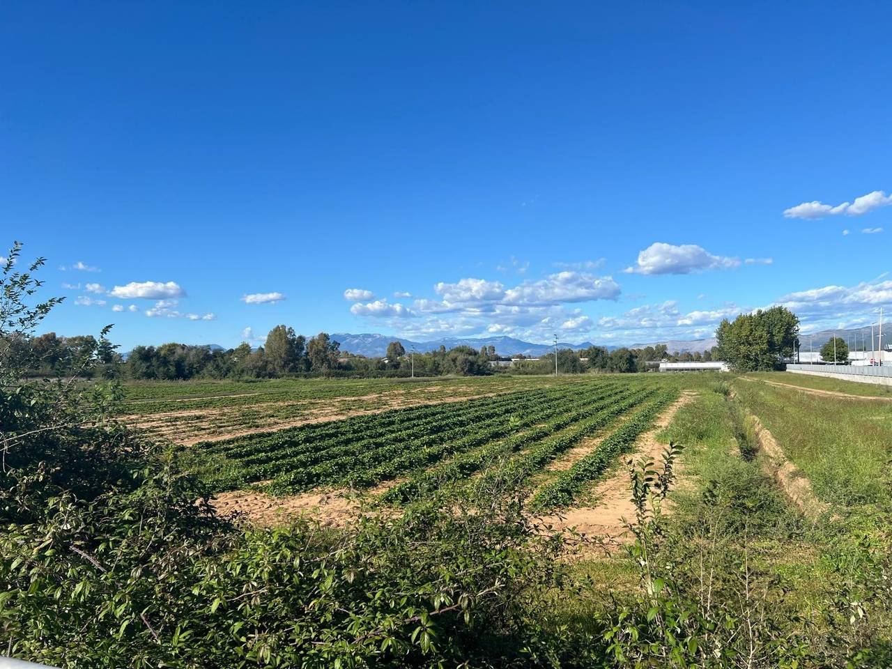 immagine annuncio 2 di 7