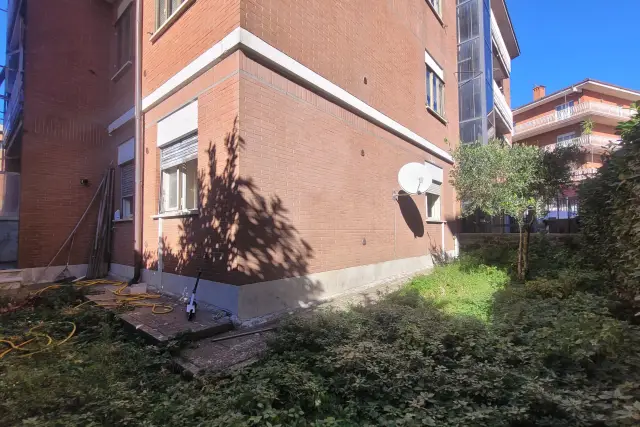 insertion image
