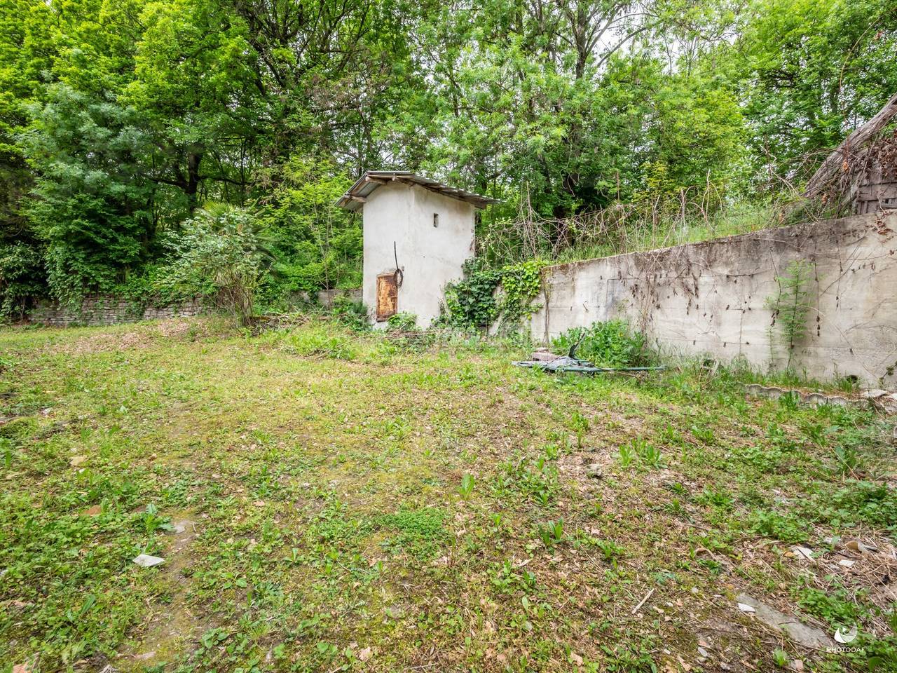 immagine annuncio 4 di 13