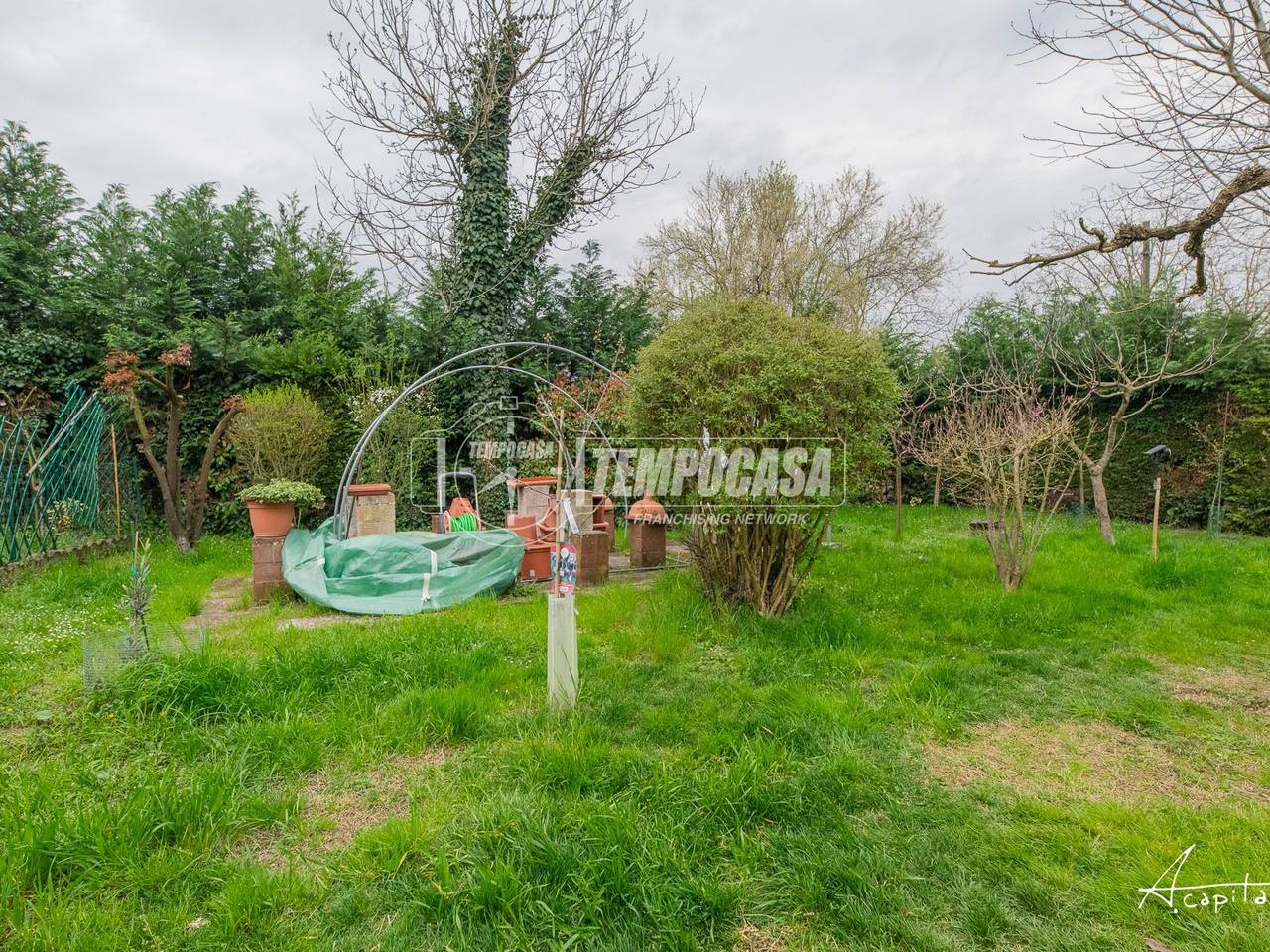 immagine annuncio 7 di 15