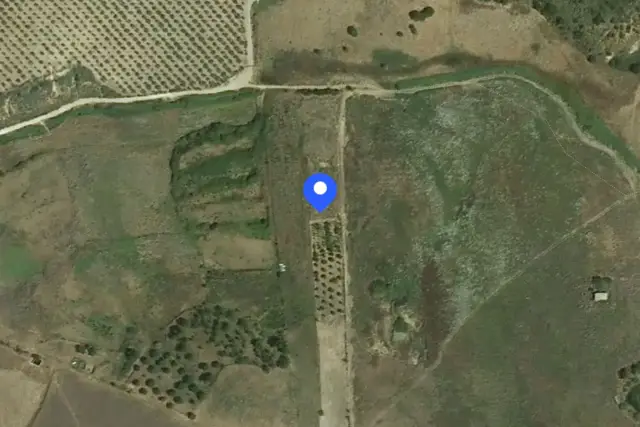 insertion image