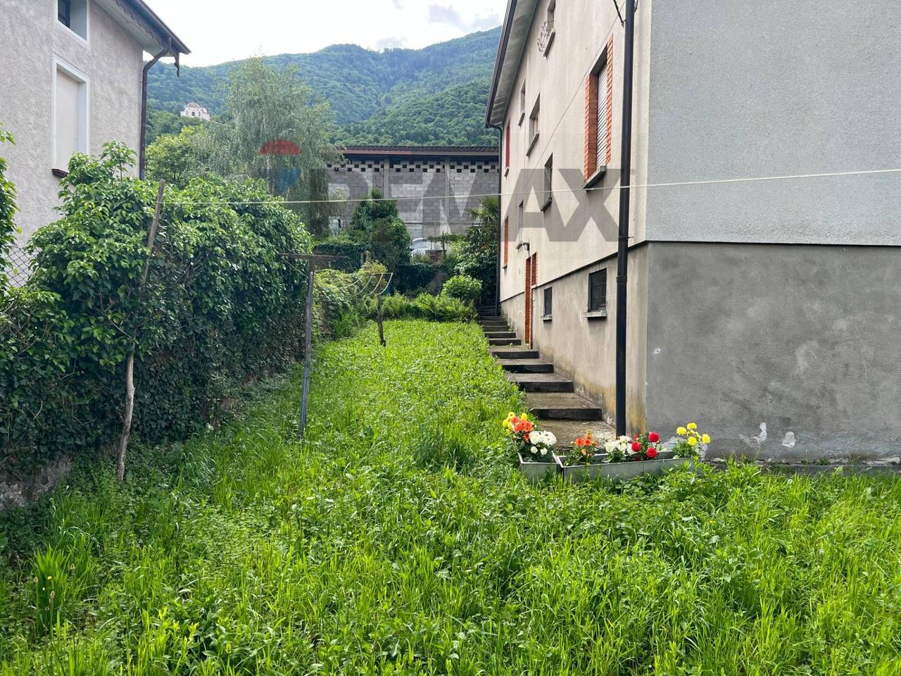 immagine annuncio 2 di 14