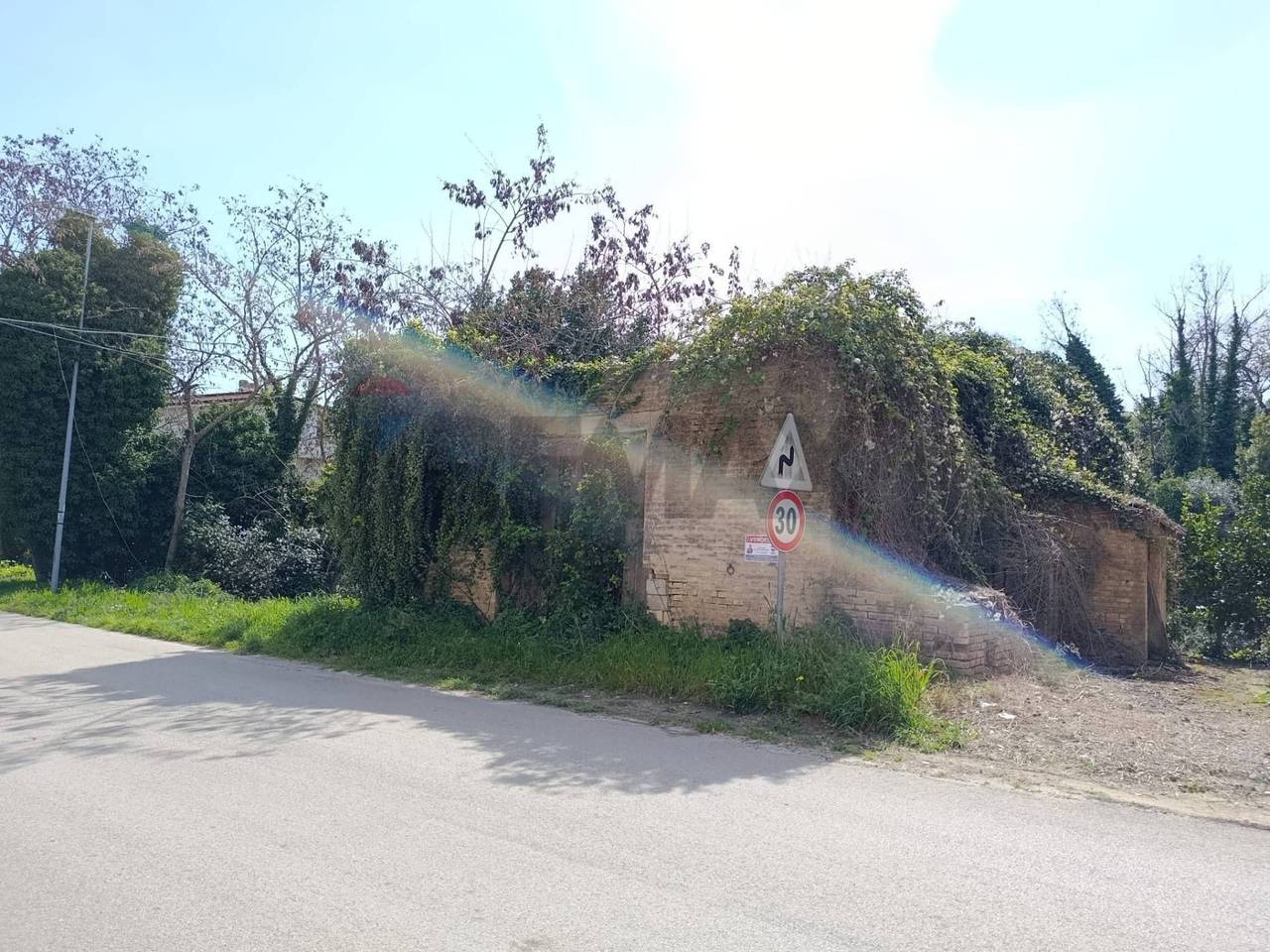 immagine annuncio 3 di 7