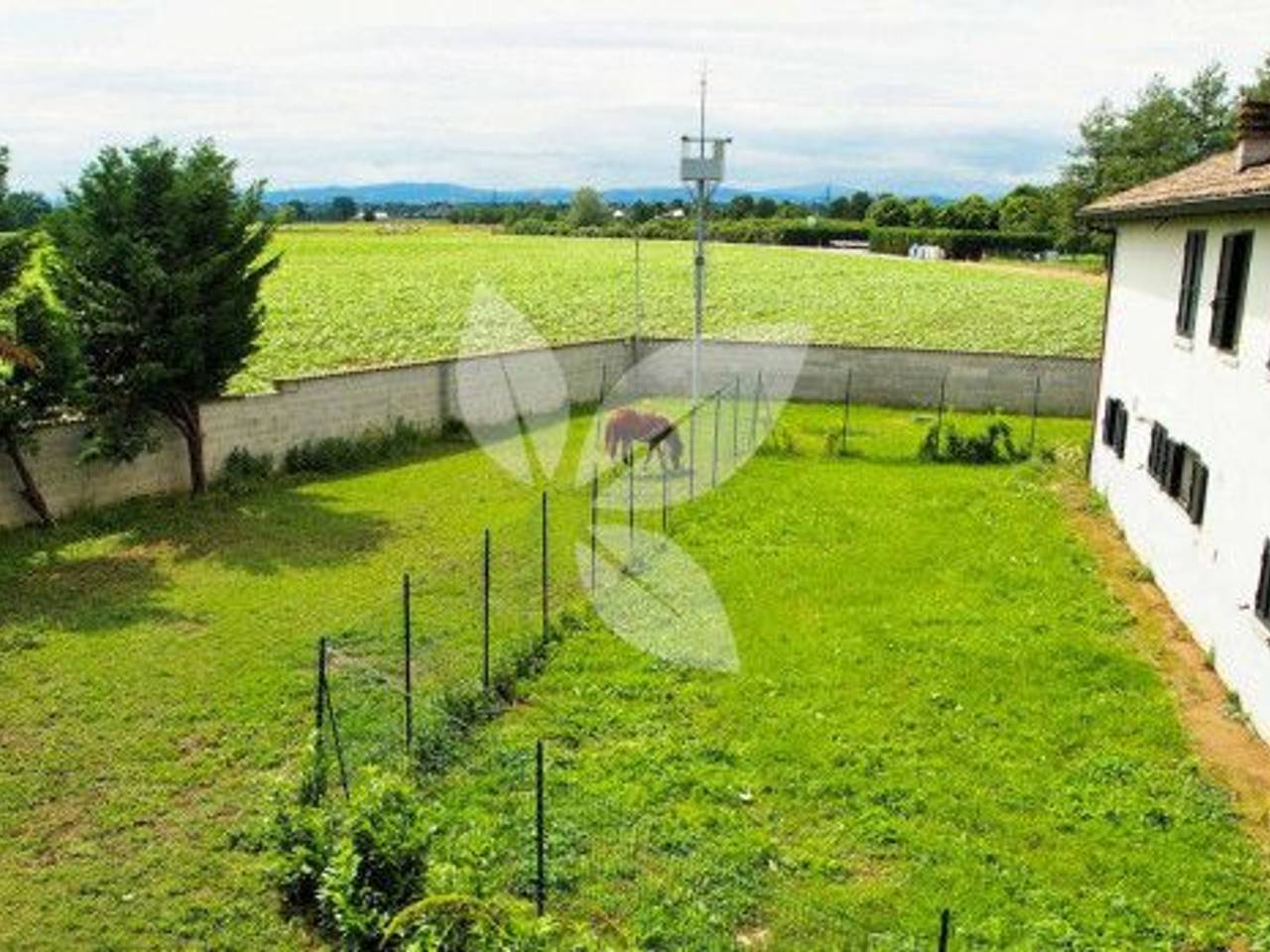 immagine annuncio 7 di 8