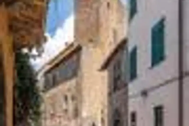 insertion image